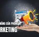 chức năng của phòng marketing